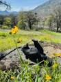 00 Kaweah River Drive - Photo 21