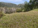 00 Kaweah River Drive - Photo 32