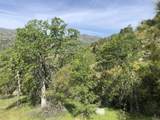 00 Kaweah River Drive - Photo 38