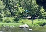 00 Kaweah River Drive - Photo 4