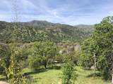 00 Kaweah River Drive - Photo 41