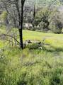 00 Kaweah River Drive - Photo 46