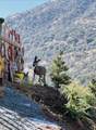 00 Kaweah River Drive - Photo 47
