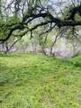 00 Kaweah River Drive - Photo 49