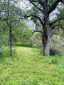 00 Kaweah River Drive - Photo 52