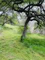 00 Kaweah River Drive - Photo 53