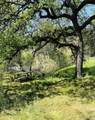 00 Kaweah River Drive - Photo 56
