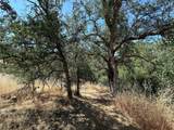 00 Kaweah River Drive - Photo 57