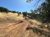 00 Kaweah River Drive - Photo 58