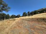00 Kaweah River Drive - Photo 59