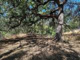 00 Kaweah River Drive - Photo 61