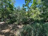00 Kaweah River Drive - Photo 62