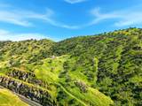 34453 Sierra Drive - Photo 60