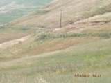 28800 Worth Drive - Photo 25