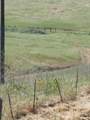 28800 Worth Drive - Photo 7