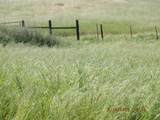 28800 Worth Drive - Photo 8