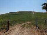 28800 Worth Drive - Photo 9
