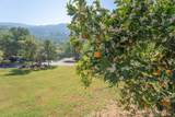 40962 Oakridge Drive - Photo 37