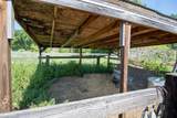 43666 Balch Park Road - Photo 8