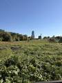 43666 Balch Park Road - Photo 9