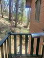 57926 Manzanita Trail - Photo 62
