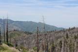 53184 Pine View Drive - Photo 1