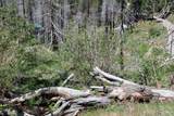 53184 Pine View Drive - Photo 8