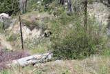 53184 Pine View Drive - Photo 9