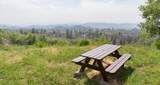 52865 Highway 245 - Photo 43