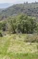 52865 Highway 245 - Photo 46