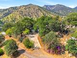 45241 Crest Lane - Photo 53