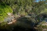 44335 North Fork - Photo 19