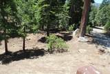 57910 Peppermint Drive - Photo 103