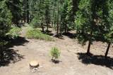 57910 Peppermint Drive - Photo 104