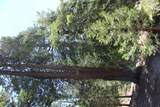 57910 Peppermint Drive - Photo 105