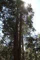 57910 Peppermint Drive - Photo 46