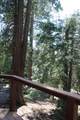57910 Peppermint Drive - Photo 47