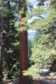 57910 Peppermint Drive - Photo 49