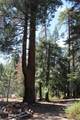 57910 Peppermint Drive - Photo 96