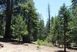 57910 Peppermint Drive - Photo 97