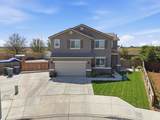 1695 Fantail Street - Photo 55