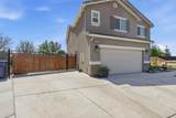 1695 Fantail Street - Photo 6