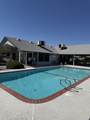 3103-54 Avocado Street - Photo 16