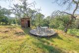 40716 Old Three Rivers Road - Photo 41
