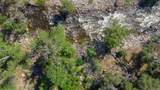 40716 Old Three Rivers Road - Photo 55