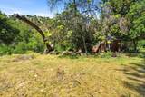 44231 North Fork Drive - Photo 11