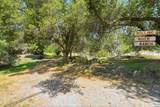 44231 North Fork Drive - Photo 2