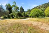44231 North Fork Drive - Photo 6
