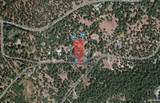26041 Lupin Road - Photo 8