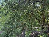15500 Rd 200 - Photo 10